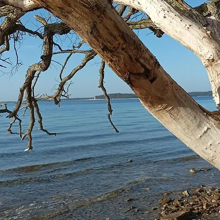 Vista Mare *